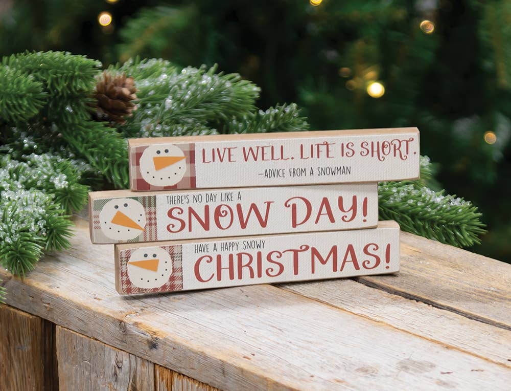 Snowman Advice Mini Stick, 3 Assorted